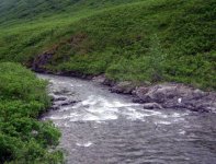 070_628x480.JPG