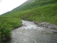 071_640x480.JPG