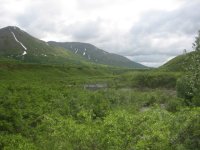 078_640x480.JPG