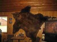 094_640x480.JPG
