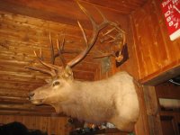 095_640x480.JPG