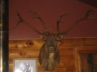 098_640x480.JPG