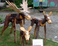 109_602x480.JPG