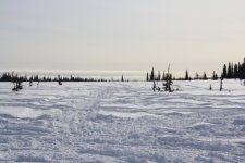 IMG_0312_640x427.JPG