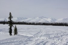 IMG_0315_640x427.JPG