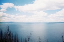 0915672-R5-05-22.jpg
