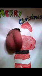 merry christmas.jpg