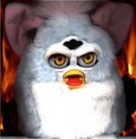 image.jpeg