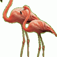 skuid