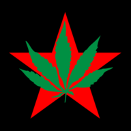 donguri