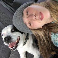 FoxyLoxi