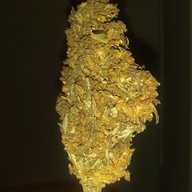 1CannaBliss3
