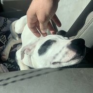Winnie