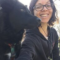 QueerVeganFeministKilljoy