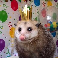 QueenOpossum