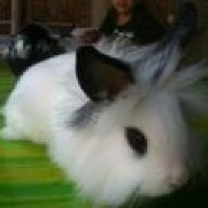 FluffyNJ