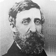 Pappy