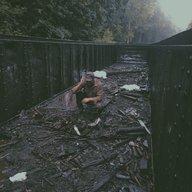 BriarBear