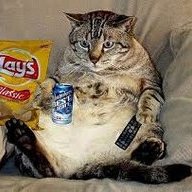 LoungesWithTelevision