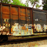 buckeye