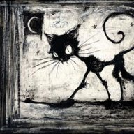 alleycat3