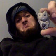 BridgeCritter