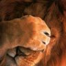 aeonian.lion
