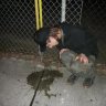 Justin Ebriated