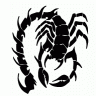 spartan45