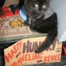 Meowzer