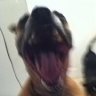 Shakou