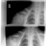 DixieCrystal