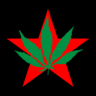donguri