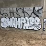 SWAMPxASSx420