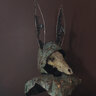 rabbitmoonrock