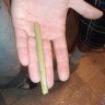 Shulseee