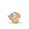 Possum