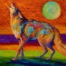 TheCoyoteKing