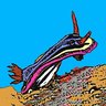 Kattfish
