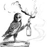 sewerowl