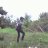 cimot