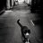 Skitty