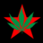donguri
