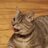 TumbleweedandHisCat