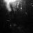 Corvus