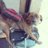 Ireen
