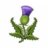 Thistle