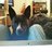 Writer Tilly
