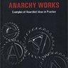 Anarchy Works by Peter Gelderloos