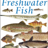Field Guide to Freshwater Fish